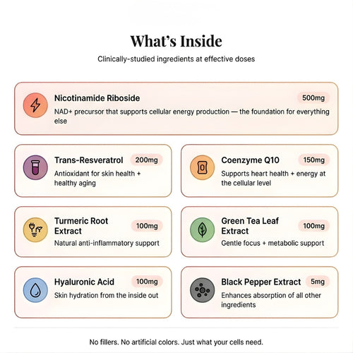 Purrky NAD⁺ Complete